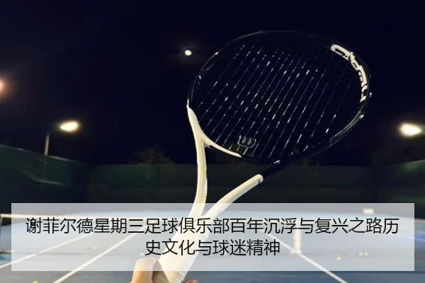 谢菲尔德星期三足球俱乐部百年沉浮与复兴之路历史文化与球迷精神